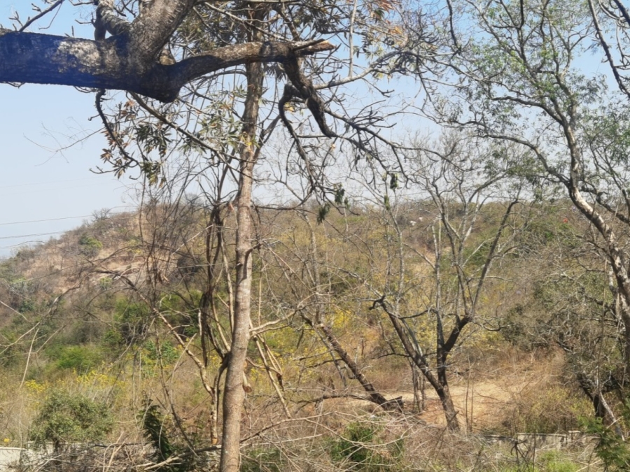 0 Bedroom Property for Sale in Drum Rock Mpumalanga