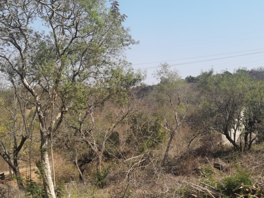 0 Bedroom Property for Sale in Drum Rock Mpumalanga