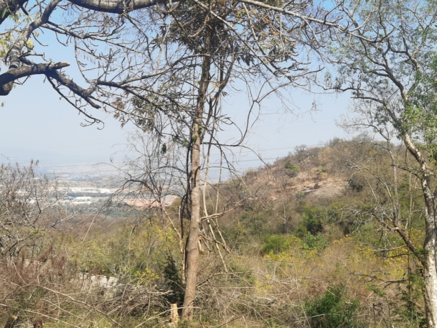 0 Bedroom Property for Sale in Drum Rock Mpumalanga