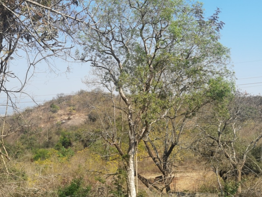 0 Bedroom Property for Sale in Drum Rock Mpumalanga