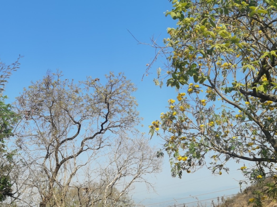 0 Bedroom Property for Sale in Drum Rock Mpumalanga