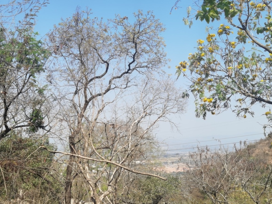 0 Bedroom Property for Sale in Drum Rock Mpumalanga