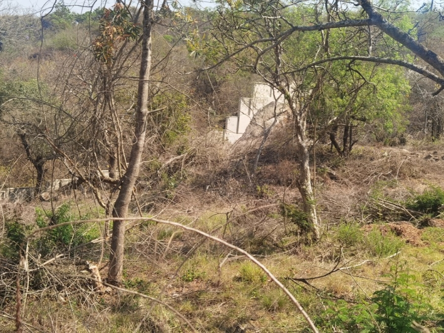 0 Bedroom Property for Sale in Drum Rock Mpumalanga