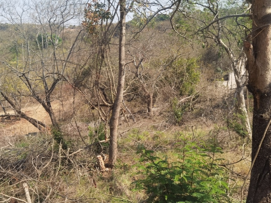 0 Bedroom Property for Sale in Drum Rock Mpumalanga