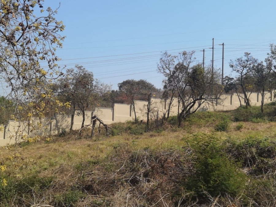 0 Bedroom Property for Sale in Drum Rock Mpumalanga