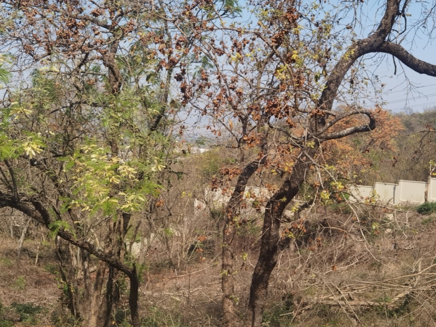 0 Bedroom Property for Sale in Drum Rock Mpumalanga