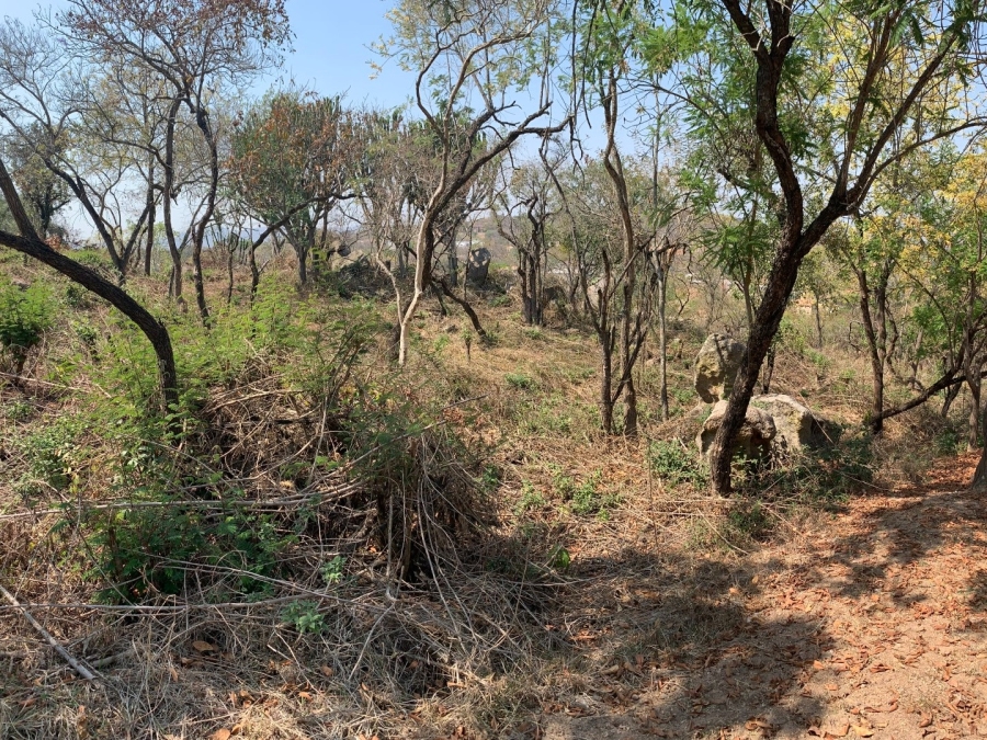 0 Bedroom Property for Sale in Drum Rock Mpumalanga