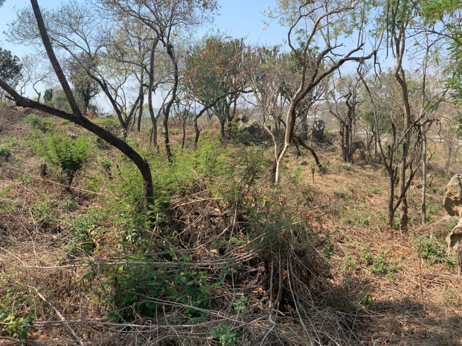 0 Bedroom Property for Sale in Drum Rock Mpumalanga