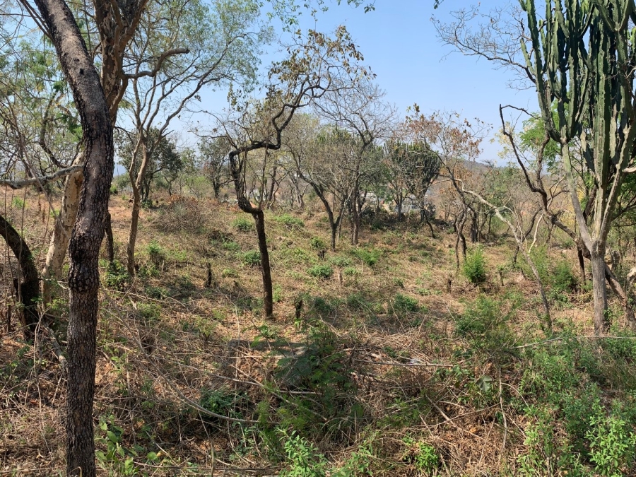 0 Bedroom Property for Sale in Drum Rock Mpumalanga