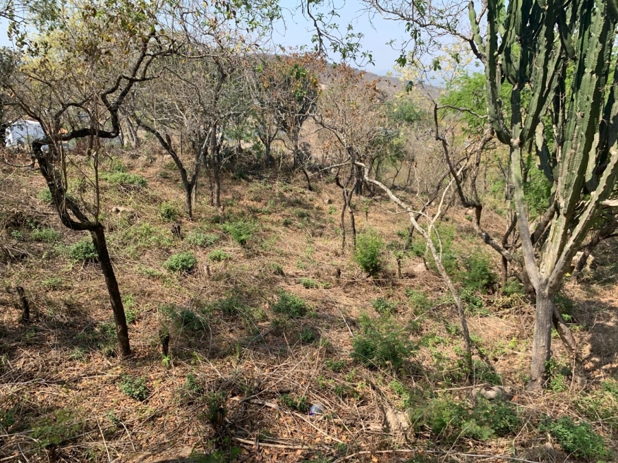 0 Bedroom Property for Sale in Drum Rock Mpumalanga
