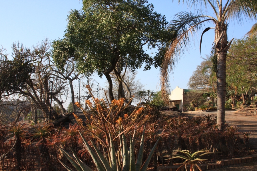 5 Bedroom Property for Sale in Renosterkop Mpumalanga