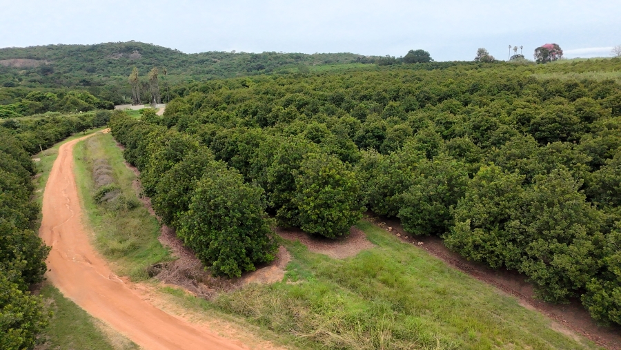Commercial Property for Sale in Nelspruit Rural Mpumalanga