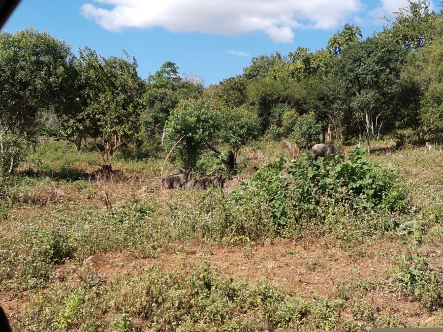 0 Bedroom Property for Sale in Hazyview Mpumalanga