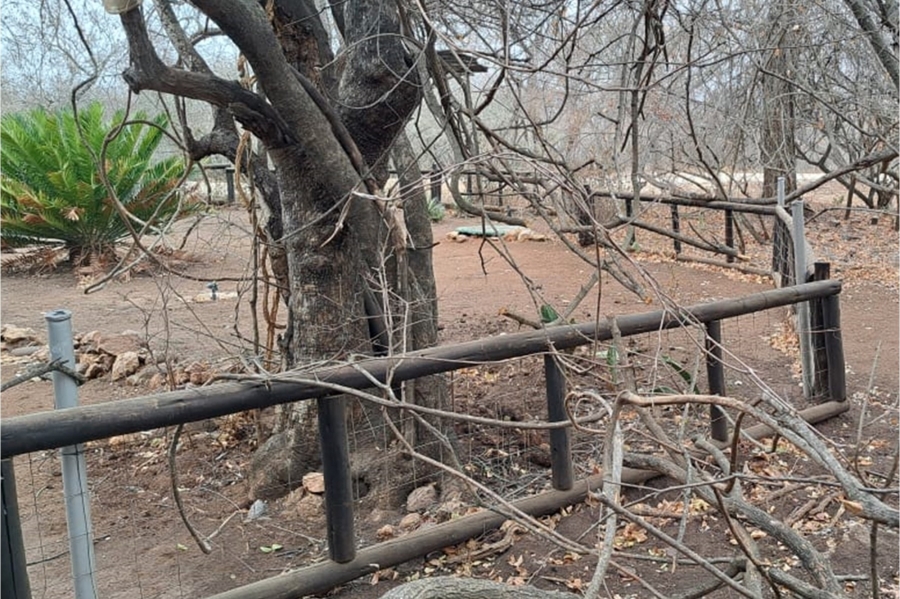 2 Bedroom Property for Sale in Marloth Park Mpumalanga