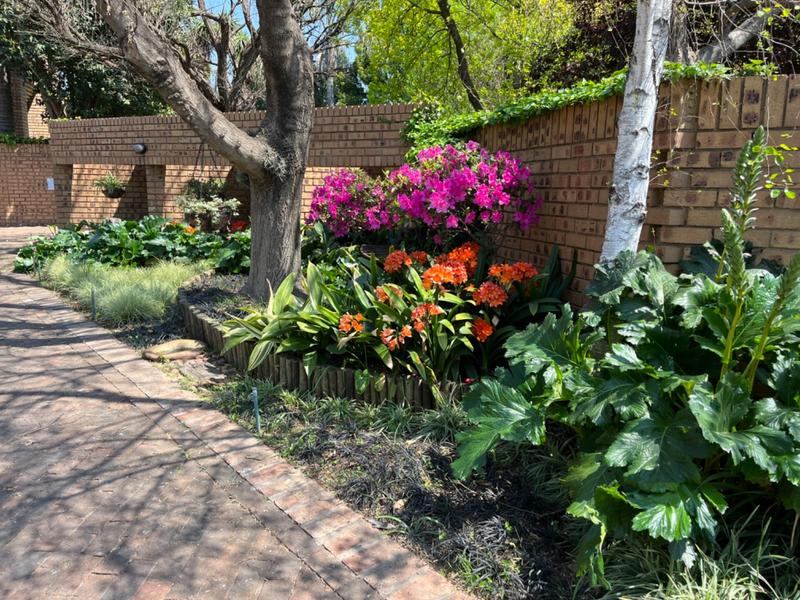 4 Bedroom Property for Sale in Groenkol Mpumalanga