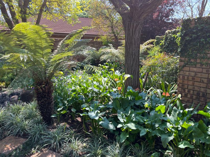 4 Bedroom Property for Sale in Groenkol Mpumalanga