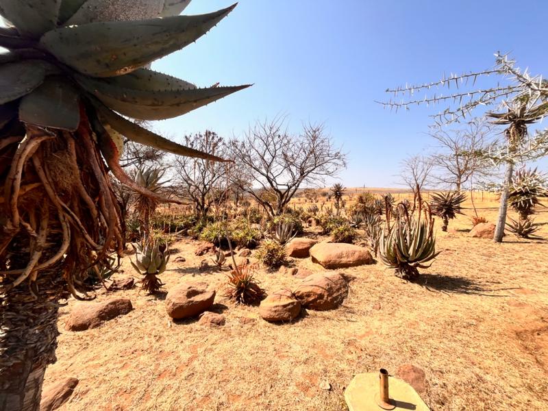 3 Bedroom Property for Sale in Middelburg Rural Mpumalanga