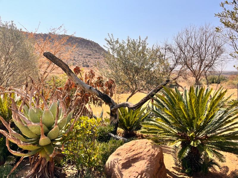 3 Bedroom Property for Sale in Middelburg Rural Mpumalanga