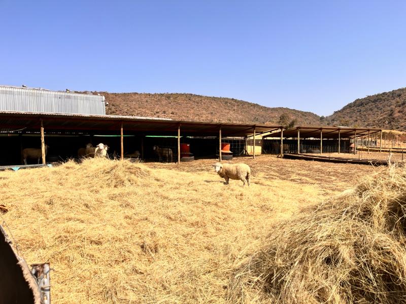 3 Bedroom Property for Sale in Middelburg Rural Mpumalanga