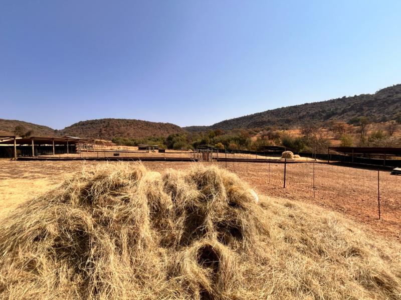 3 Bedroom Property for Sale in Middelburg Rural Mpumalanga