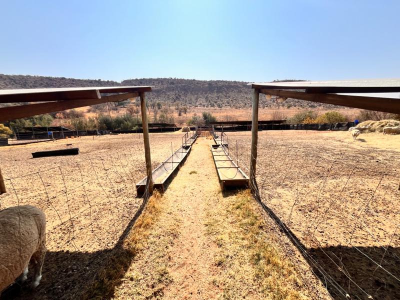 3 Bedroom Property for Sale in Middelburg Rural Mpumalanga