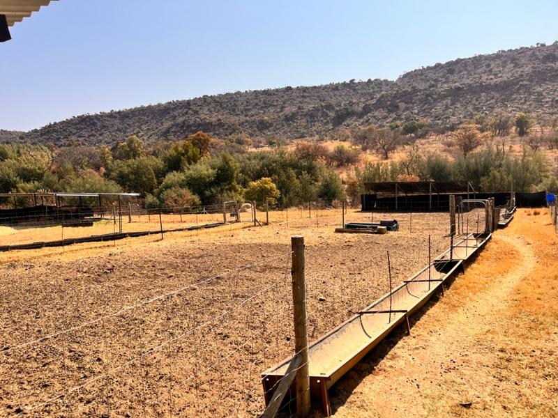 3 Bedroom Property for Sale in Middelburg Rural Mpumalanga