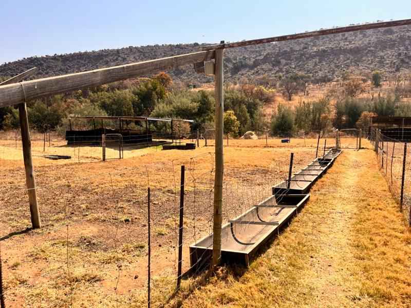 3 Bedroom Property for Sale in Middelburg Rural Mpumalanga