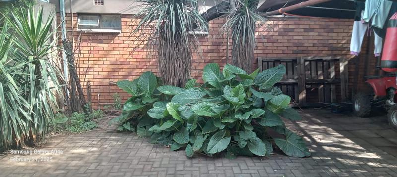 3 Bedroom Property for Sale in Delmas Mpumalanga