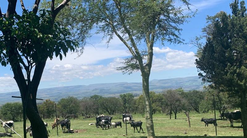 6 Bedroom Property for Sale in Lydenburg Mpumalanga