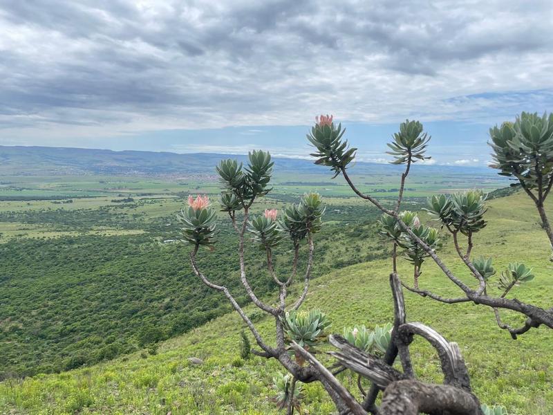 6 Bedroom Property for Sale in Lydenburg Mpumalanga
