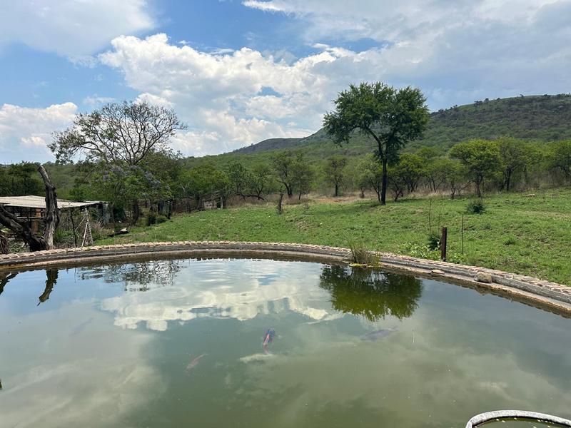 6 Bedroom Property for Sale in Lydenburg Mpumalanga