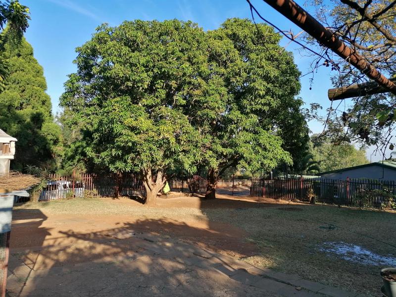 3 Bedroom Property for Sale in Barberton Mpumalanga