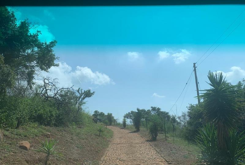 3 Bedroom Property for Sale in Lydenburg Mpumalanga