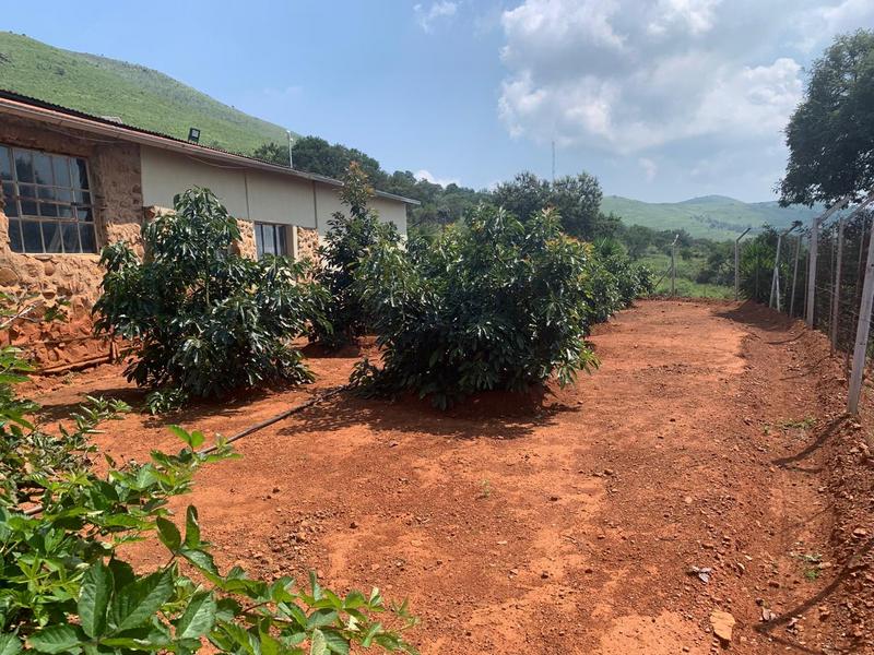 3 Bedroom Property for Sale in Lydenburg Mpumalanga
