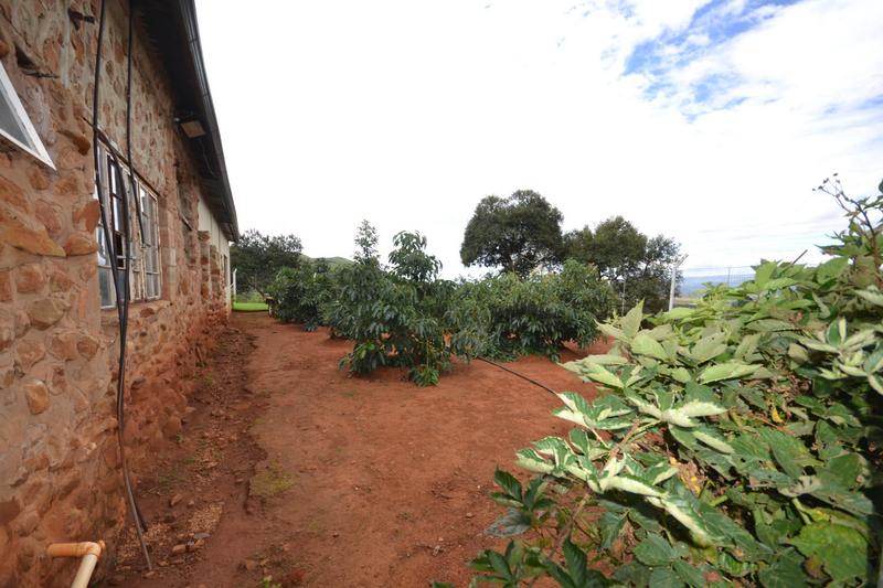 3 Bedroom Property for Sale in Lydenburg Mpumalanga