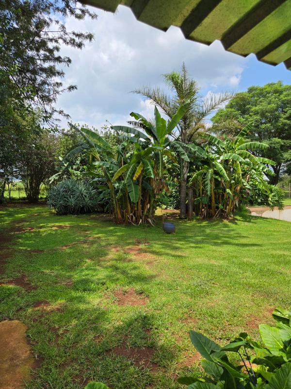 9 Bedroom Property for Sale in Stoffberg Mpumalanga
