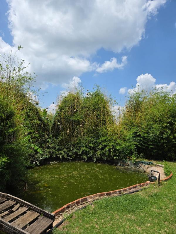 9 Bedroom Property for Sale in Stoffberg Mpumalanga