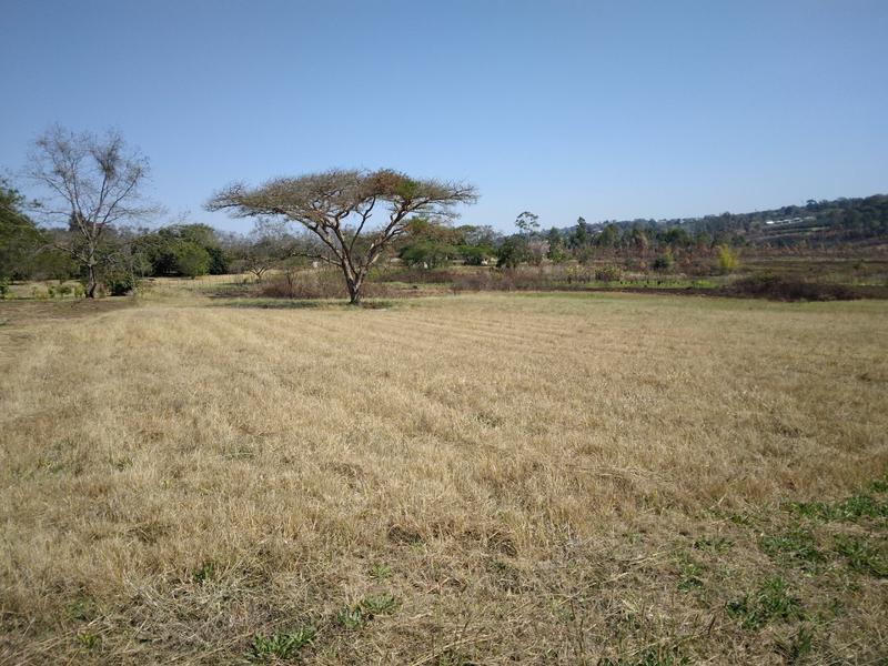 0 Bedroom Property for Sale in White River Estates Mpumalanga