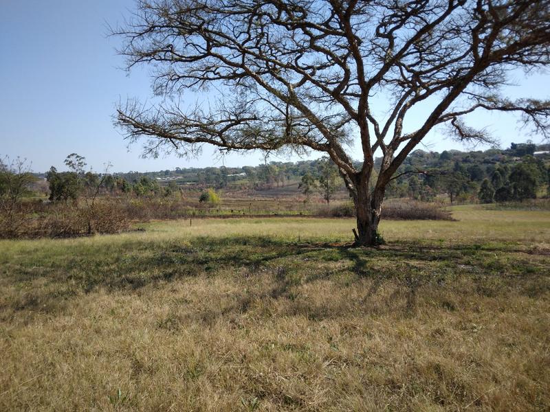 0 Bedroom Property for Sale in White River Estates Mpumalanga