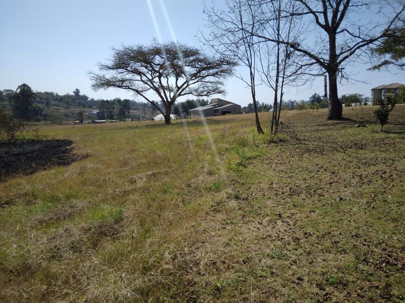 0 Bedroom Property for Sale in White River Estates Mpumalanga