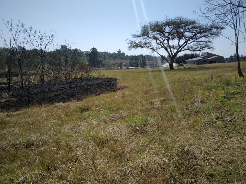 0 Bedroom Property for Sale in White River Estates Mpumalanga