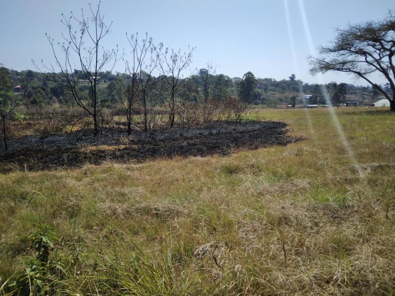 0 Bedroom Property for Sale in White River Estates Mpumalanga