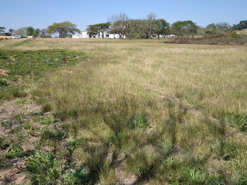 0 Bedroom Property for Sale in White River Estates Mpumalanga