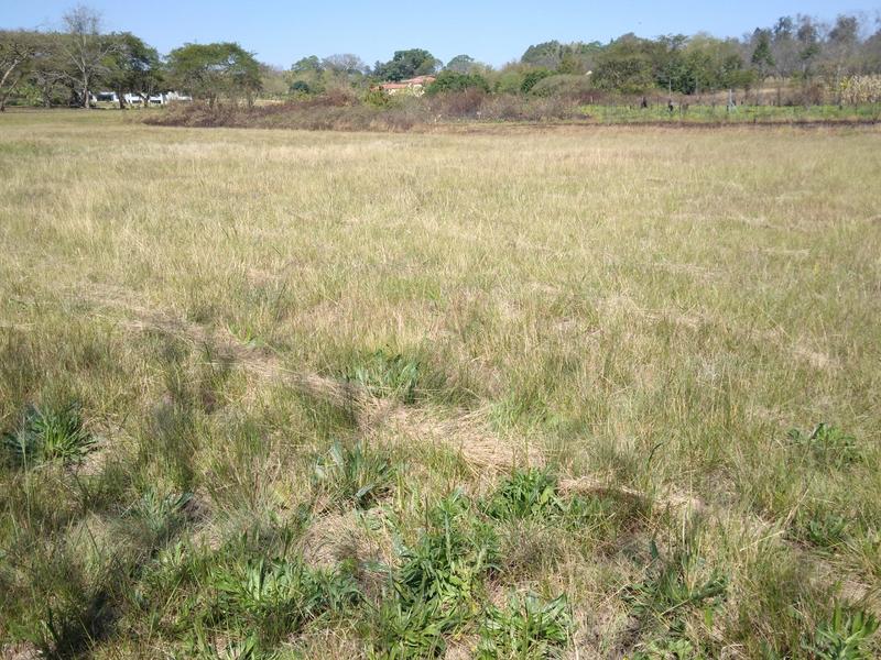 0 Bedroom Property for Sale in White River Estates Mpumalanga