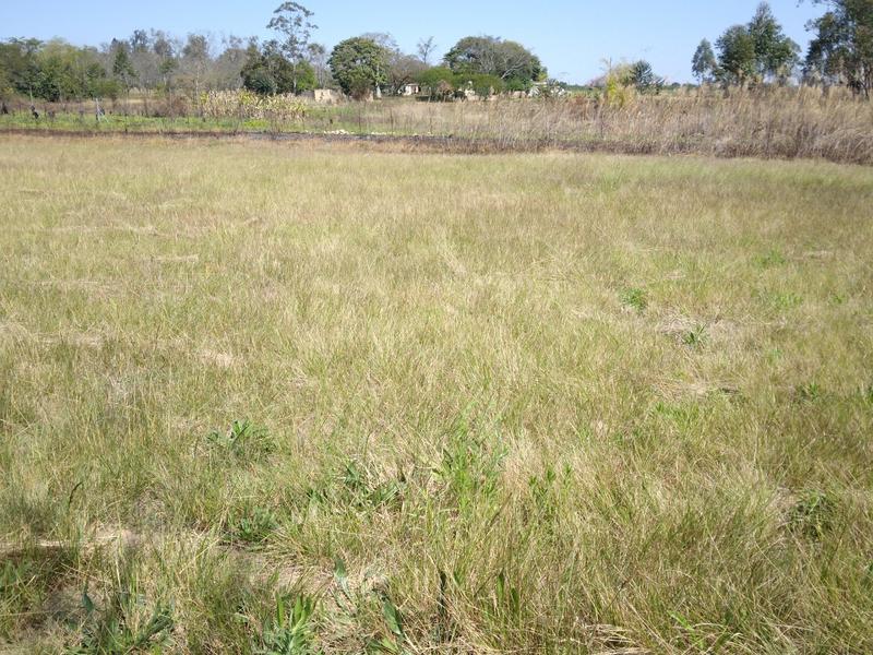 0 Bedroom Property for Sale in White River Estates Mpumalanga
