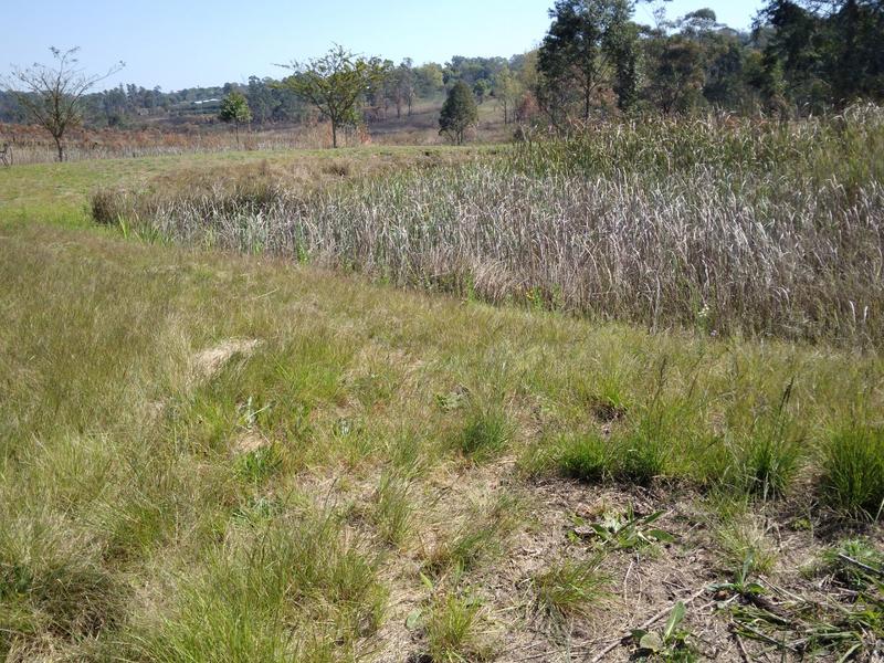 0 Bedroom Property for Sale in White River Estates Mpumalanga
