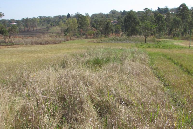 0 Bedroom Property for Sale in White River Estates Mpumalanga