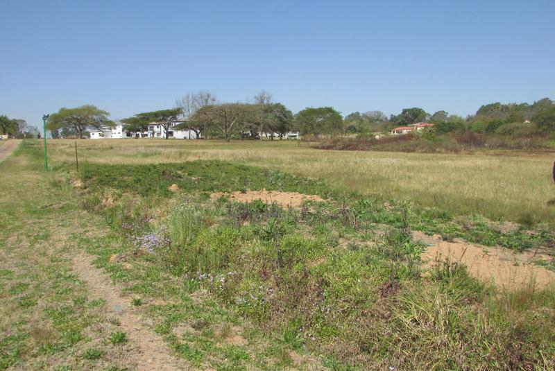 0 Bedroom Property for Sale in White River Estates Mpumalanga