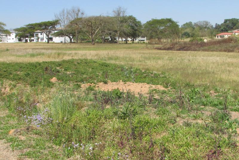 0 Bedroom Property for Sale in White River Estates Mpumalanga