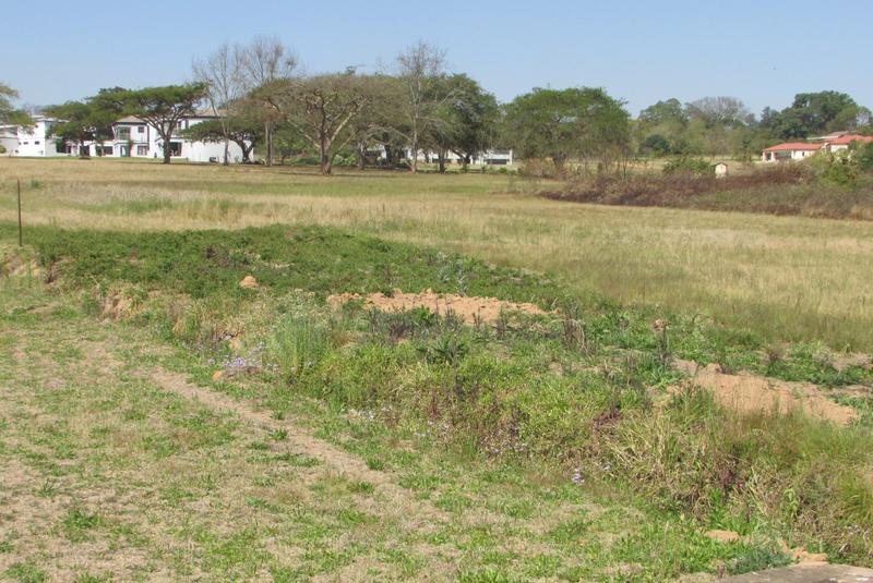 0 Bedroom Property for Sale in White River Estates Mpumalanga